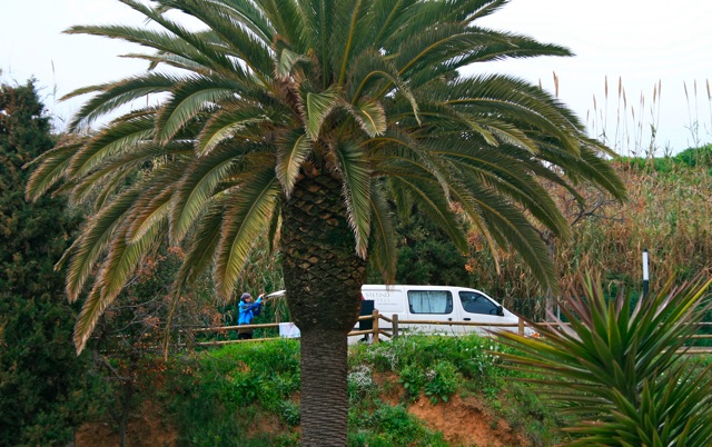 Loading Image